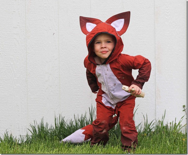 Homemade Fox Costume (animal)