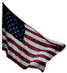 CariCruse_AmericanaSalute_USFlag_Vga