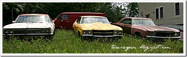 vintage car trio monte carlo chevy super sport impala 1966