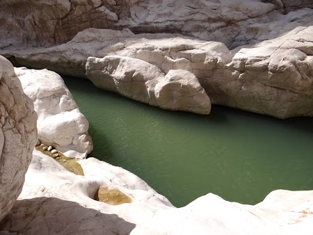 17. Apa in desert.JPG