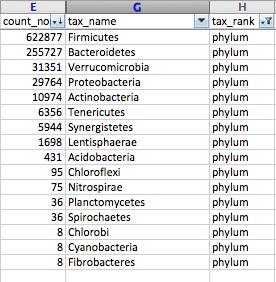 Screenshot Excel Phylum