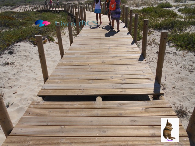 [Bolg%2520Gazeta%2520de%2520Espinho002%2520Livro%2520MCS%255B2%255D.jpg]