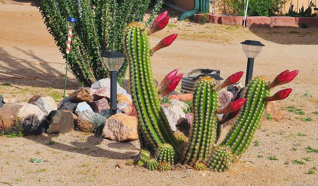 [DSC_0010%255B4%255D.jpg]