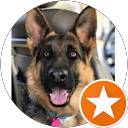 Jose Luis B profile picture