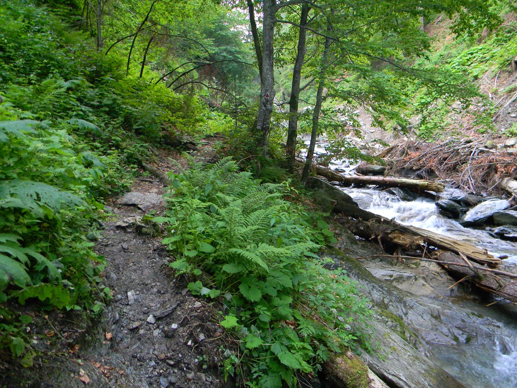 [DSCN25553.jpg]