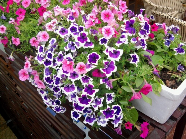 [image%255B7%255D.png]