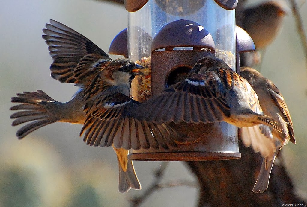 [DSC_8310%255B4%255D.jpg]