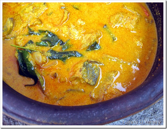 Fish and Mango Curry