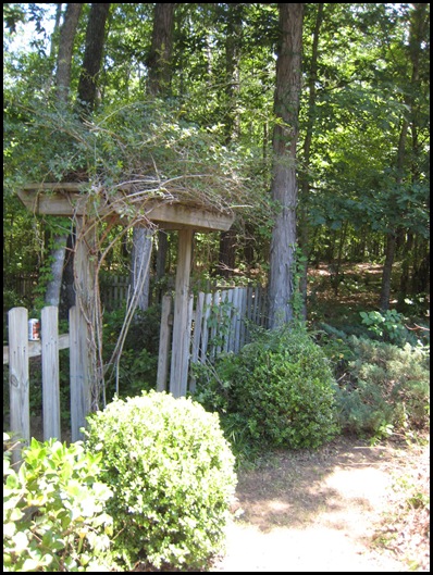 arbor after