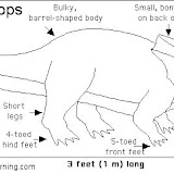 Bagaceratops_bw.gif.jpg