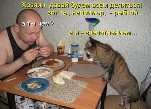 [e553edb6eee0bc381e520fab306_prev%255B4%255D.jpg]