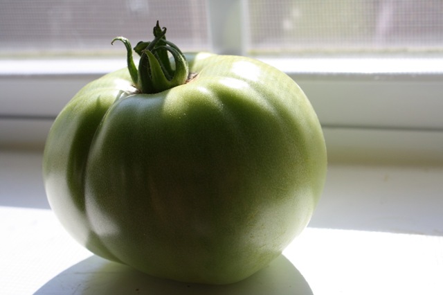 [IMG_5778%255B3%255D.jpg]