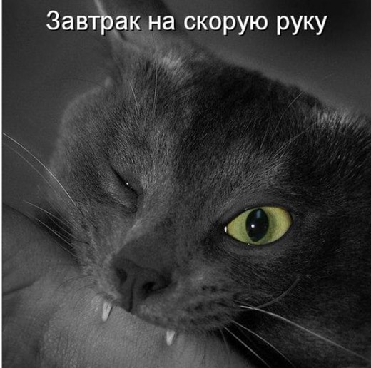 [4d6929d0635e586934b29651638_prev%255B5%255D.jpg]