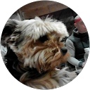 Image Google de Jess Baudin