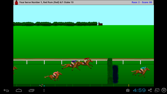  Steeplechase Horse Racing  