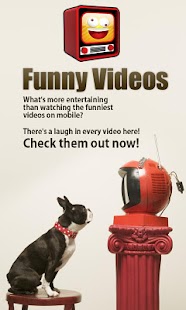 Funny Videos