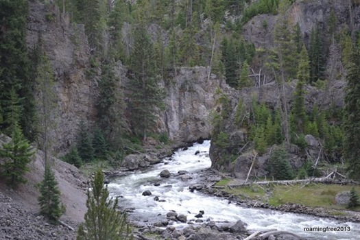Rapids in Firehole Canyon