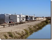 IMG_1220 IMG_1220