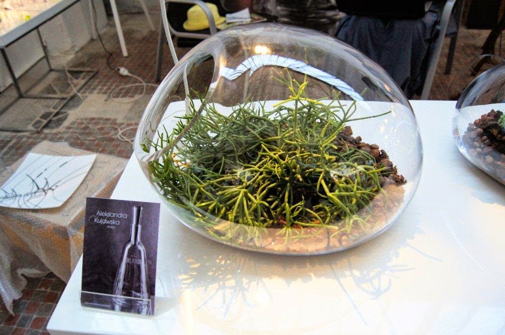 [DSC00124%255B3%255D.jpg]