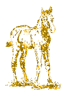 caballos%252520%25252813%252529_thumb