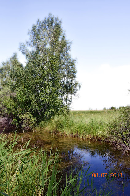 Речка Тюкалка у озера Тюкалинское (Косов Георгий)