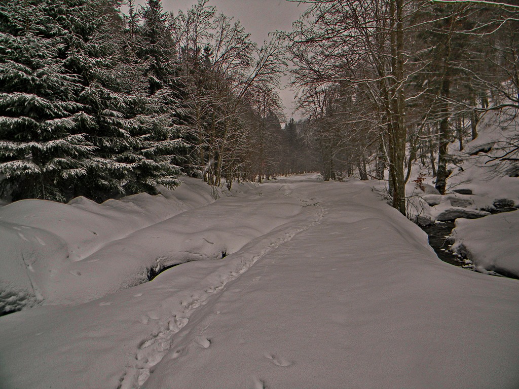 [DSCN45423.jpg]