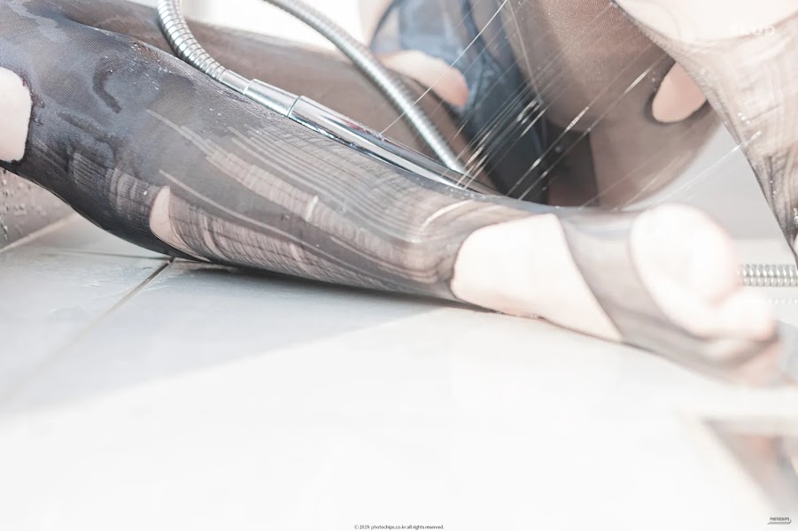 PhotoChips Vol.79 No.2 Sia (시아)