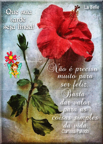 simples.gif