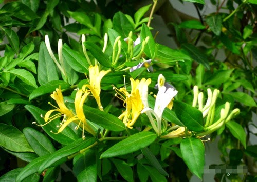 [clip_image002%255B3%255D.jpg]