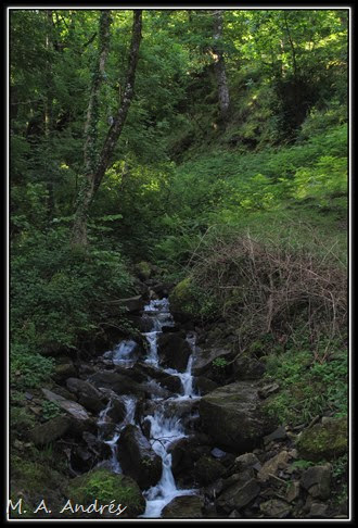 canal berroeta 023