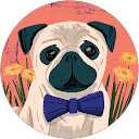 Image Google de Fanny Feron