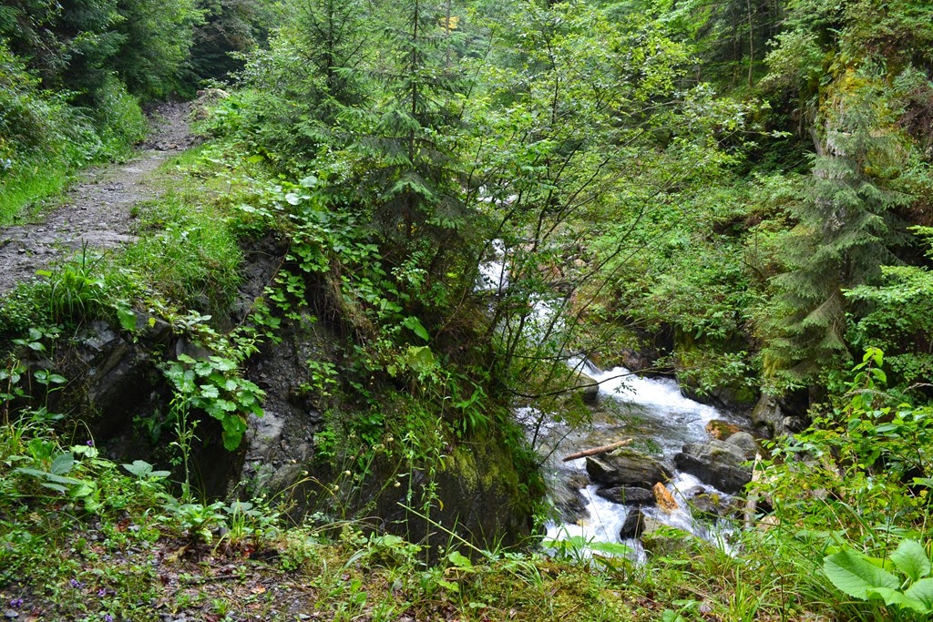 [DSC_27453.jpg]