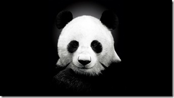 urs-panda-desktop
