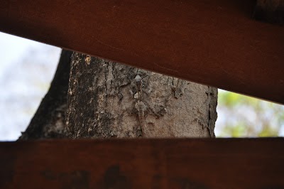 Vu ! DSC_0058.JPG