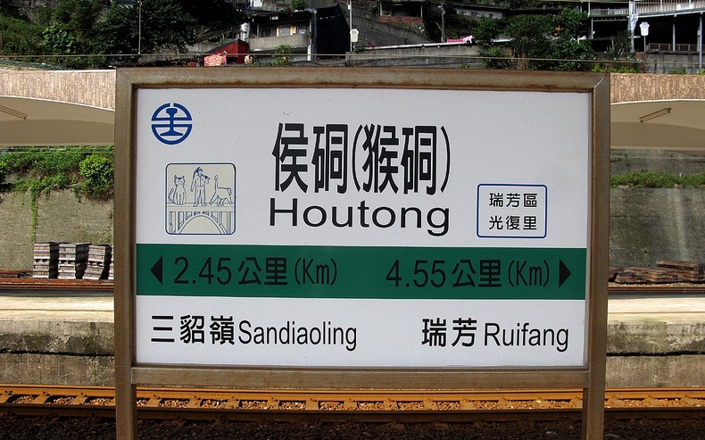 houtong-cats-3