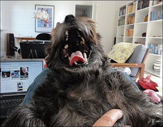 [8793052fff12a0a03db278f64a2_prev_thumb%255B6%255D%255B6%255D.jpg]