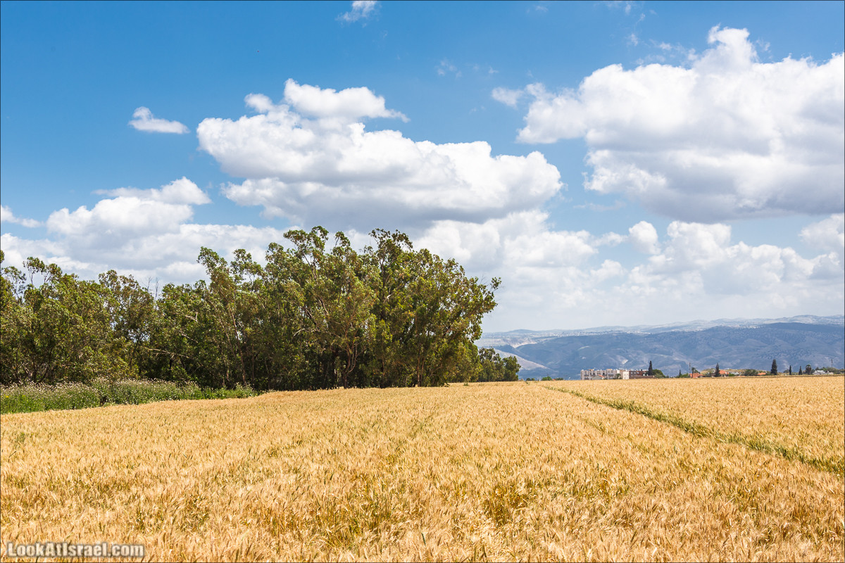 Песах в Долине Родников | Passover in Springs Valley| פסח בעמק המעיינות | LookAtIsrael.com - Фото путешествия по Израилю
