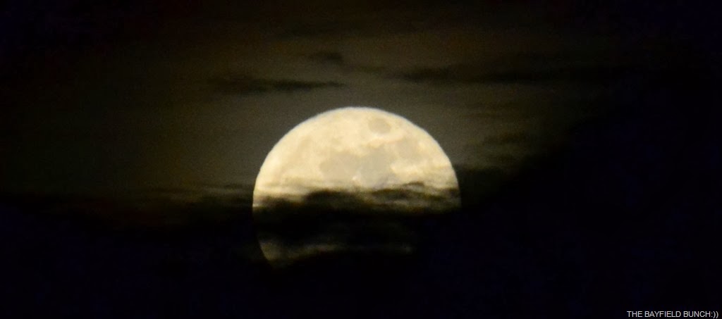 [DSC_0016%255B3%255D.jpg]