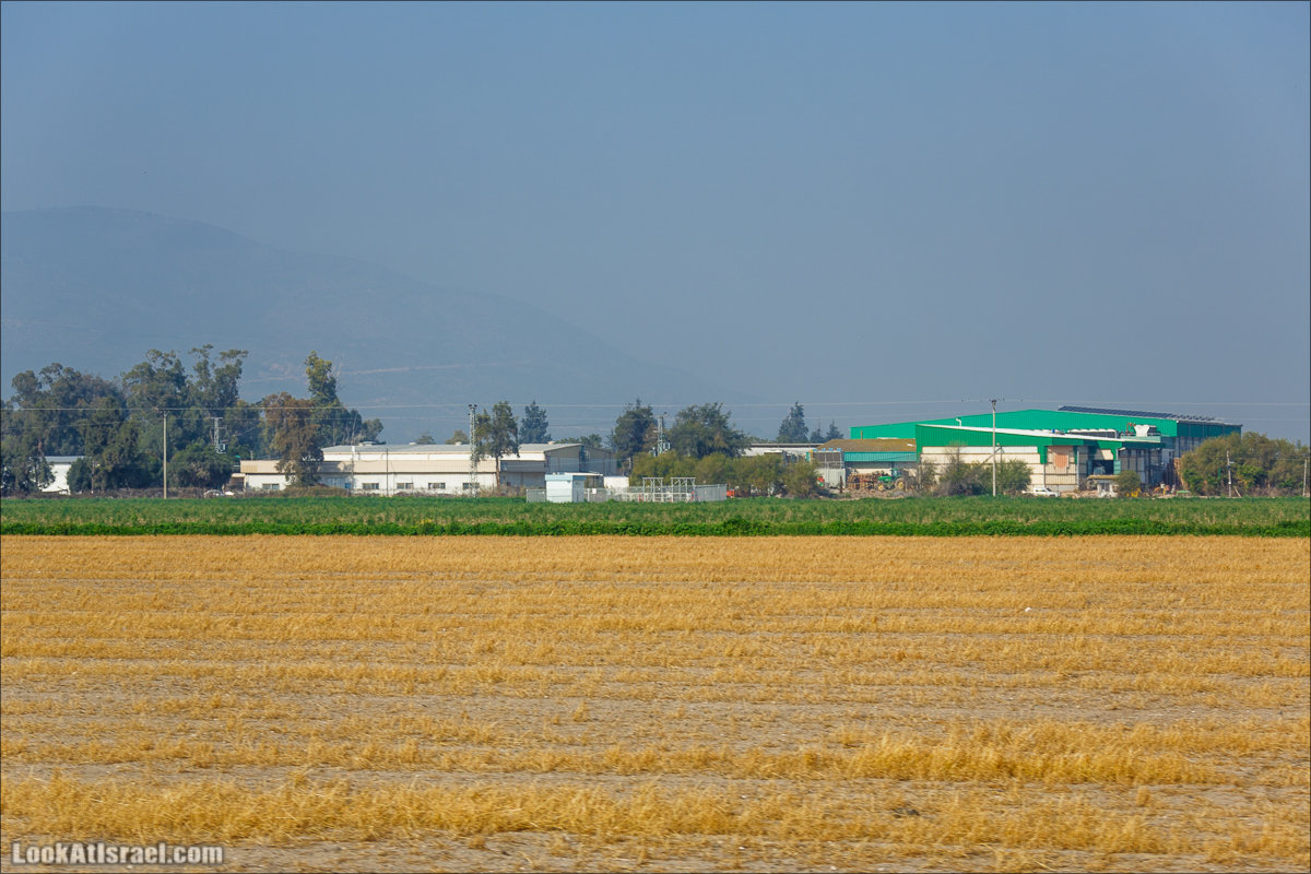 Сельскохозяйственная школа Хава бе-Эден | Hava be-Eden farm | LookAtIsrael.com - Фото путешествия по Израилю | חווה בעדן