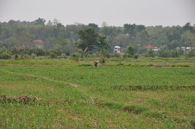 DSC_0510.JPG