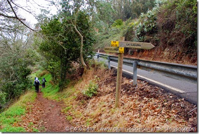 7337 La Laguna-Barranco Zamora(Bajando Barranco Monagas) 7337 La Laguna-Barranco Zamora(Bajando Barranco Monagas)