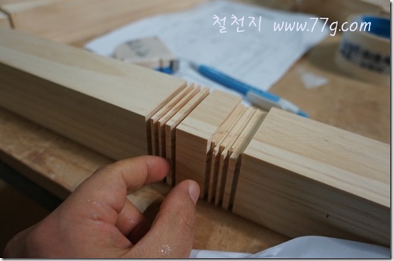 철천지DSC00028-20120917-142546