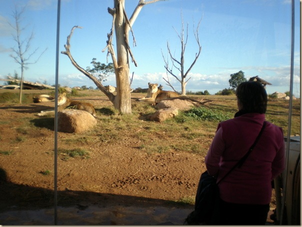 Werribee Open Range Zoo, Melbourne