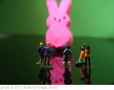 'Easter Bunny Sighting' photo (c) 2011, Kate Ter Haar - license: http://creativecommons.org/licenses/by/2.0/
