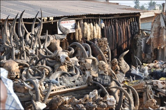 World’s Largest Voodoo Market - Togo Akodessewa 02