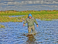 Skjern Au _ Oktober 2012 - 008