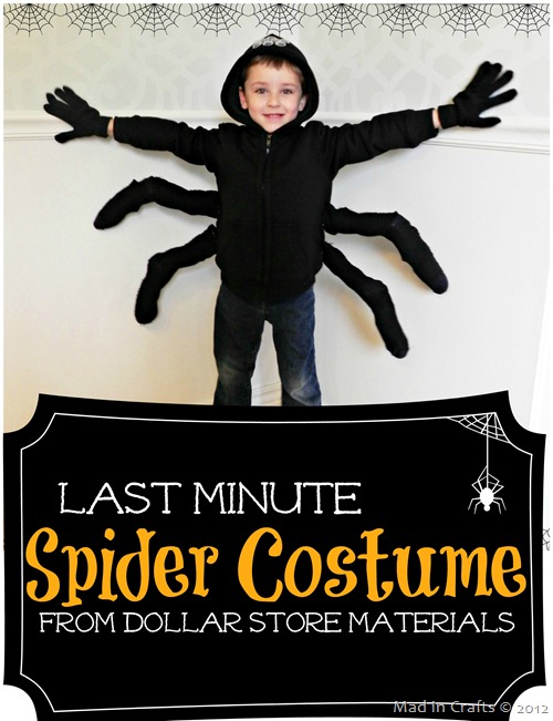 Last Minute Spider Halloween Costume
