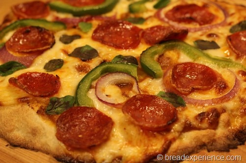 no-knead-pizza-dough026