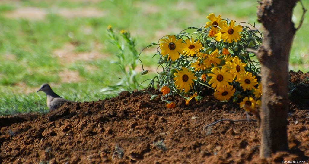 [DSC_3546%255B3%255D.jpg]