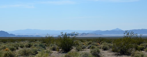 The Mojave National Preserve